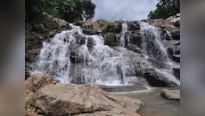 Jharkhand News: नव वर्ष के पहले दिन पर्यटक पहुंचे लोहरदगा के धरधरीया फॉल