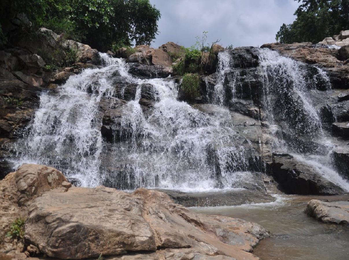 Tourists reached Dhardhariya Fall of Lohardaga on New Year celebrated first day with family | Jharkhand News: नव वर्ष के पहले दिन पर्यटक पहुंचे लोहरदगा के धरधरीया फॉल, परिवार के साथ मनाया