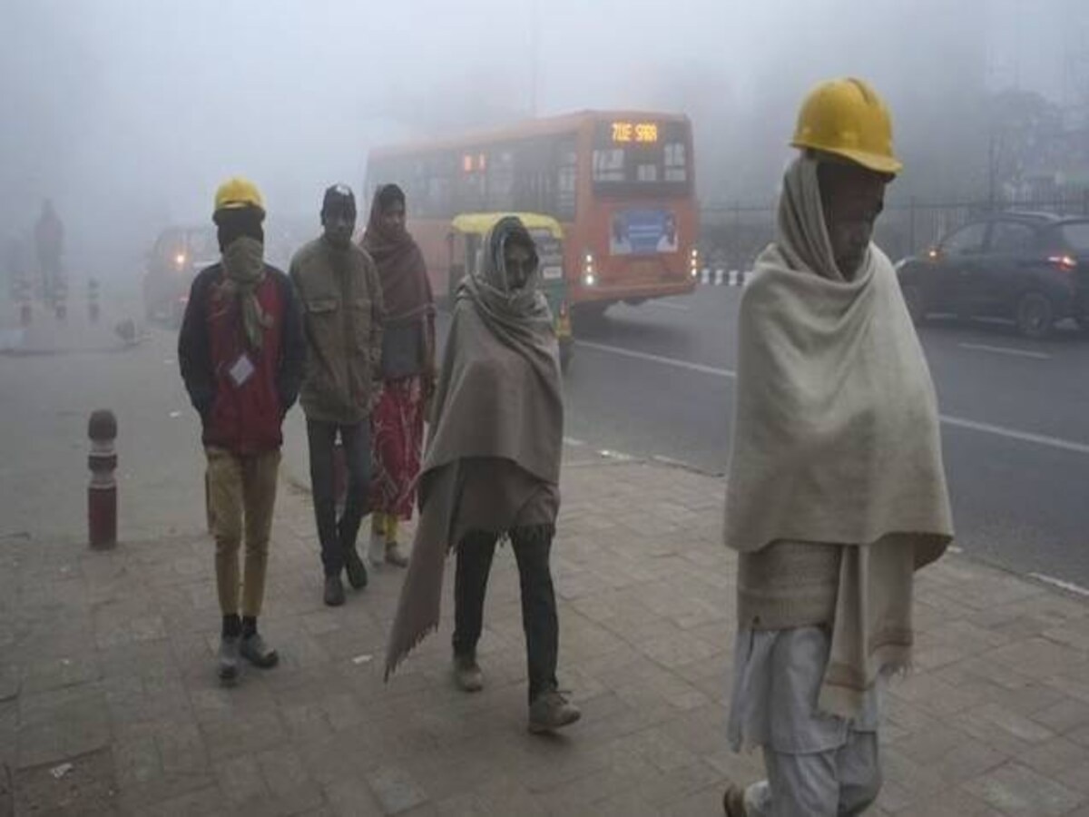 Rajasthan Weather Update: राजस्थान में कोहरे और शीतलहर का डबल अटैक, बारिश के बाद धड़ाम से गिरा पारा, ठिठुर रहे 11 जिले