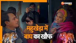 Viral Video: दौसा के महुखेड़ा में बाघ ने फैलाई दहशत