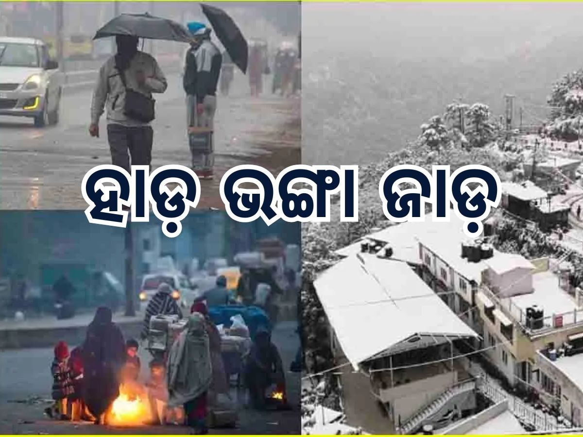 Weather Alert: ୫ ରାଜ୍ୟରେ ହାଡ଼ଭଙ୍ଗା ଶୀତ, ୧୮ ରାଜ୍ୟରେ ଘନ କୁହୁଡ଼ି; ସତର୍କ ସୂଚନା ଜାରି କଲା ପାଣିପାଗ ବିଭାଗ