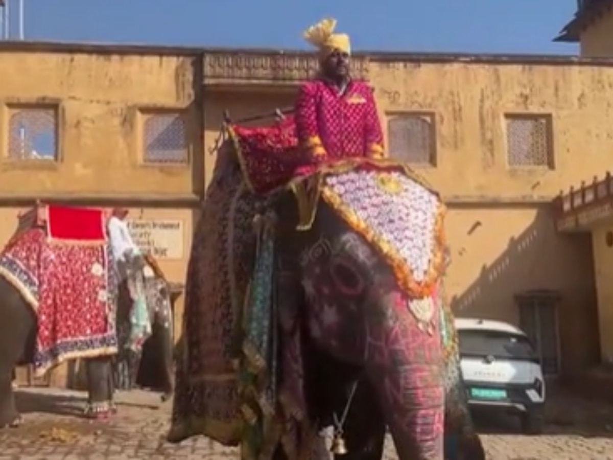 Amer Fort: नववर्ष पर आमेर फोर्ट में सजधजे हाथियों ने किया पर्यटकों का स्वागत, दी New Year 2025 की शुभकामनाएं