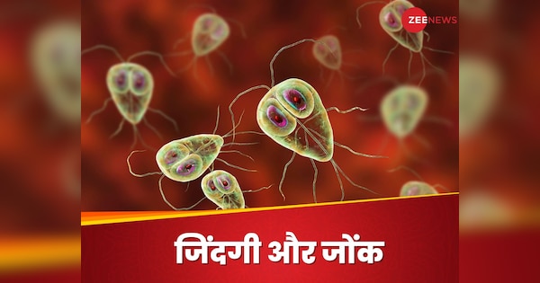 Parasite: दिमाग घुमाने वाले, खून चूसने वाले परजीवी क्‍या हमारे लिए जरूरी हैं?