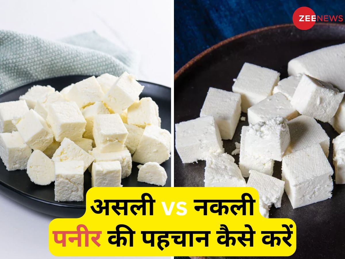 Paneer Purity Test: नकली पनीर से सावधान, यूपी के इस शहर से 12 कुंतल मिलावटी पनीर जब्त, FSSAI ने बताया कैसे पहचानें असली-नकली?