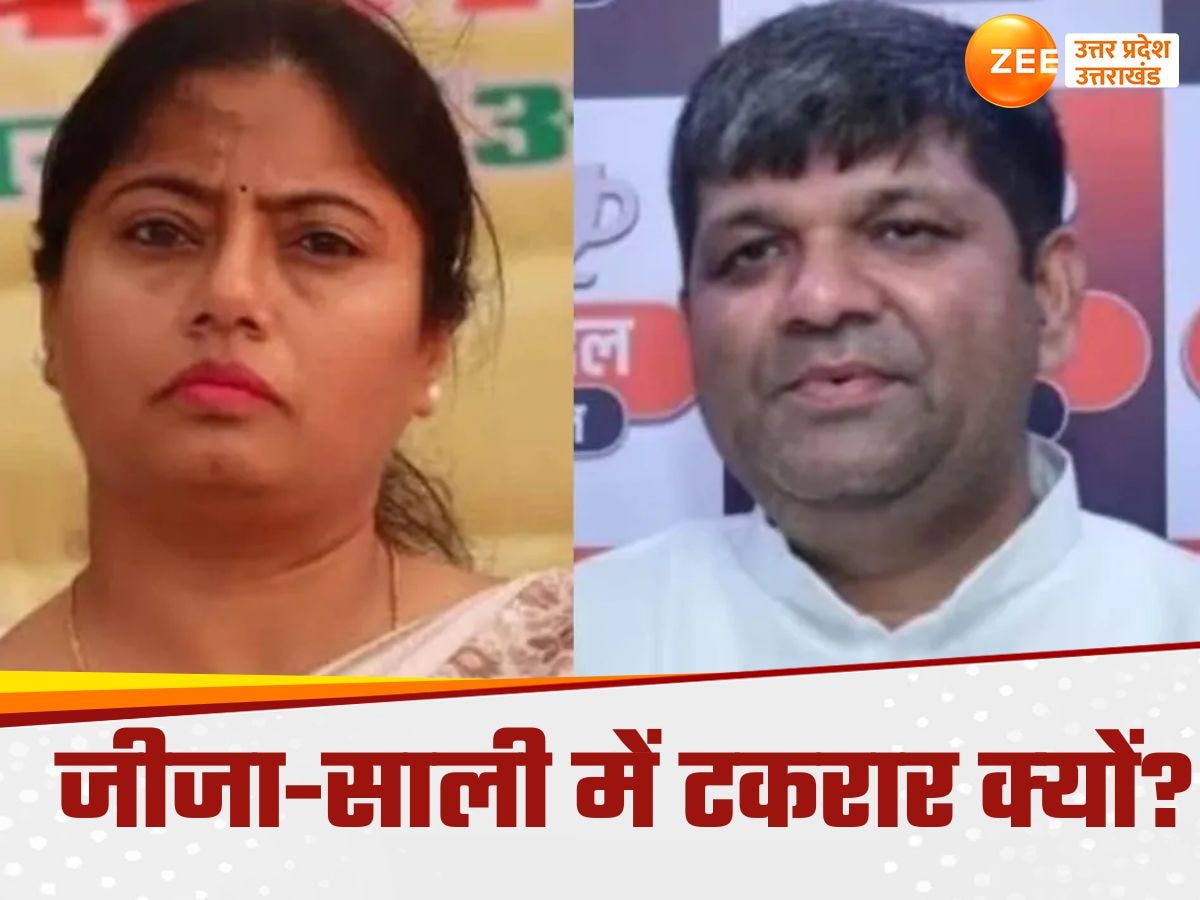  Pallavi Patel vs Ashish Patel