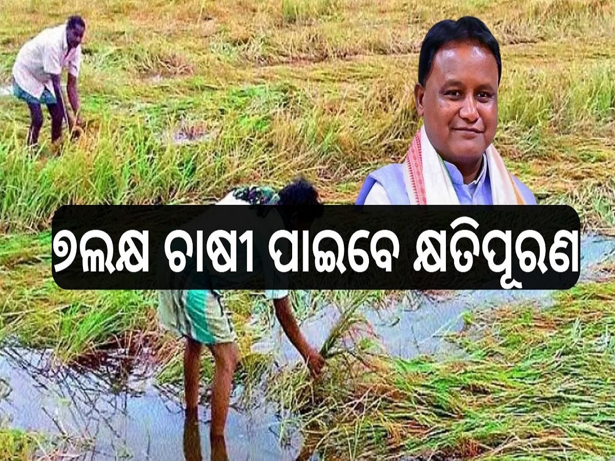 Odisha News: ଅଦିନିଆ ବର୍ଷାକୁ ପ୍ରାକୃତିକ ବିପର୍ଯ୍ୟୟ ଘୋଷଣା, ୭ଲକ୍ଷ ଚାଷୀ ପାଇବେ କ୍ଷତିପୂରଣ 