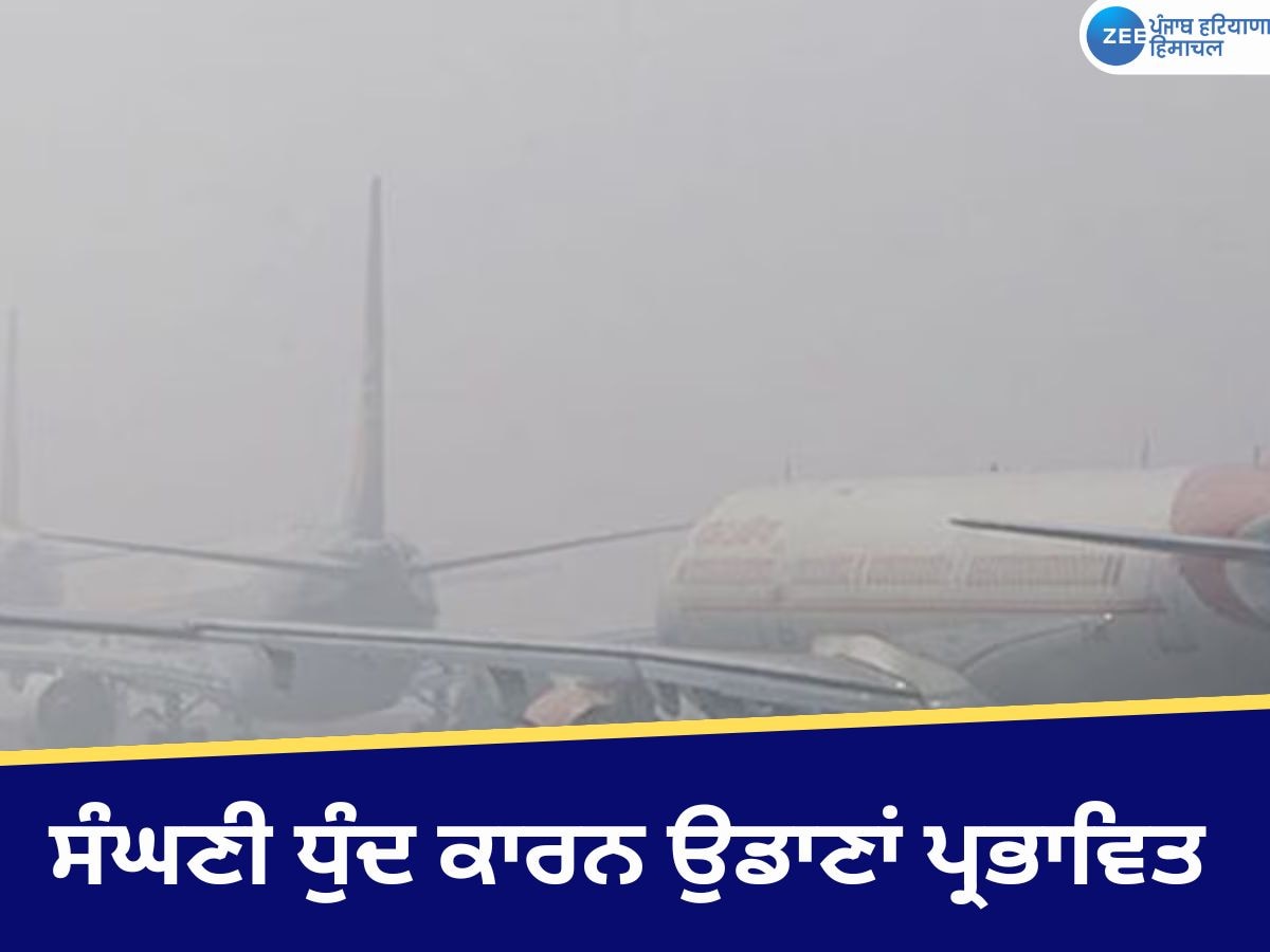 Flight Late: ਸੰਘਣੀ ਧੁੰਦ ਕਰਕੇ Flights ਅਤੇ ਰੇਲ ਗੱਡੀਆਂ ਹੋ ਰਹੀਆਂ ਪ੍ਰਭਾਵਿਤ, ਦਰਜਨਾਂ ਫਲਾਈਟਸ ਰੱਦ