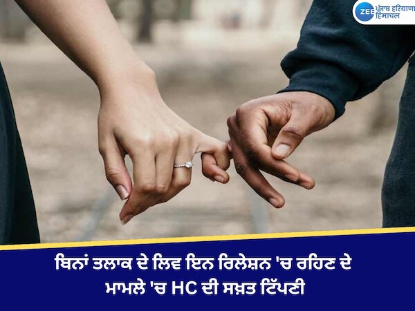 Live-in Relationship: ਤਲਾਕ ਤੋਂ ਬਿਨਾਂ ਲਿਵ ਇਨ ਰਿਲੇਸ਼ਨ 'ਚ ਰਹਿੰਦੇ ਹੋਏ ਸੁਰੱਖਿਆ ਮੰਗਣ ਦੇ ਮਾਮਲੇ 'ਚ ਹਾਈਕੋਰਟ ਦੀ ਸਖ਼ਤ ਟਿੱਪਣੀ