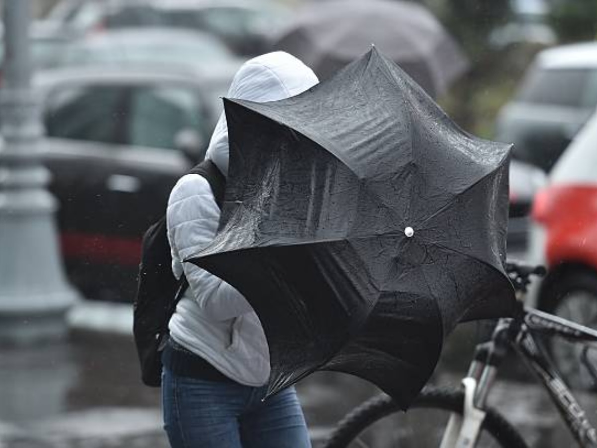 Rajasthan Weather Update: राजस्थान में फिर उधम काटेगा पश्चिमी विक्षोभ, दौसा, भीलवाड़ा और सीकर से लेकर 31 जिलों में आसमान से बरसेगी आफत की बारिश, भरतपुर में 8वीं तक के सभी स्कूल बंद