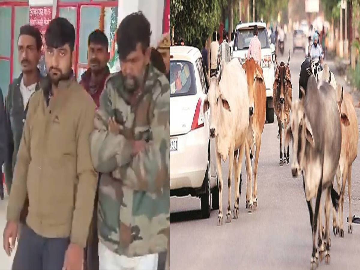 7 गौ तस्करों को गिरफ्तार कर पुलिस ने बरामद किये 37 गाय; आरोपियों के नाम नहीं जानेंगे आप?