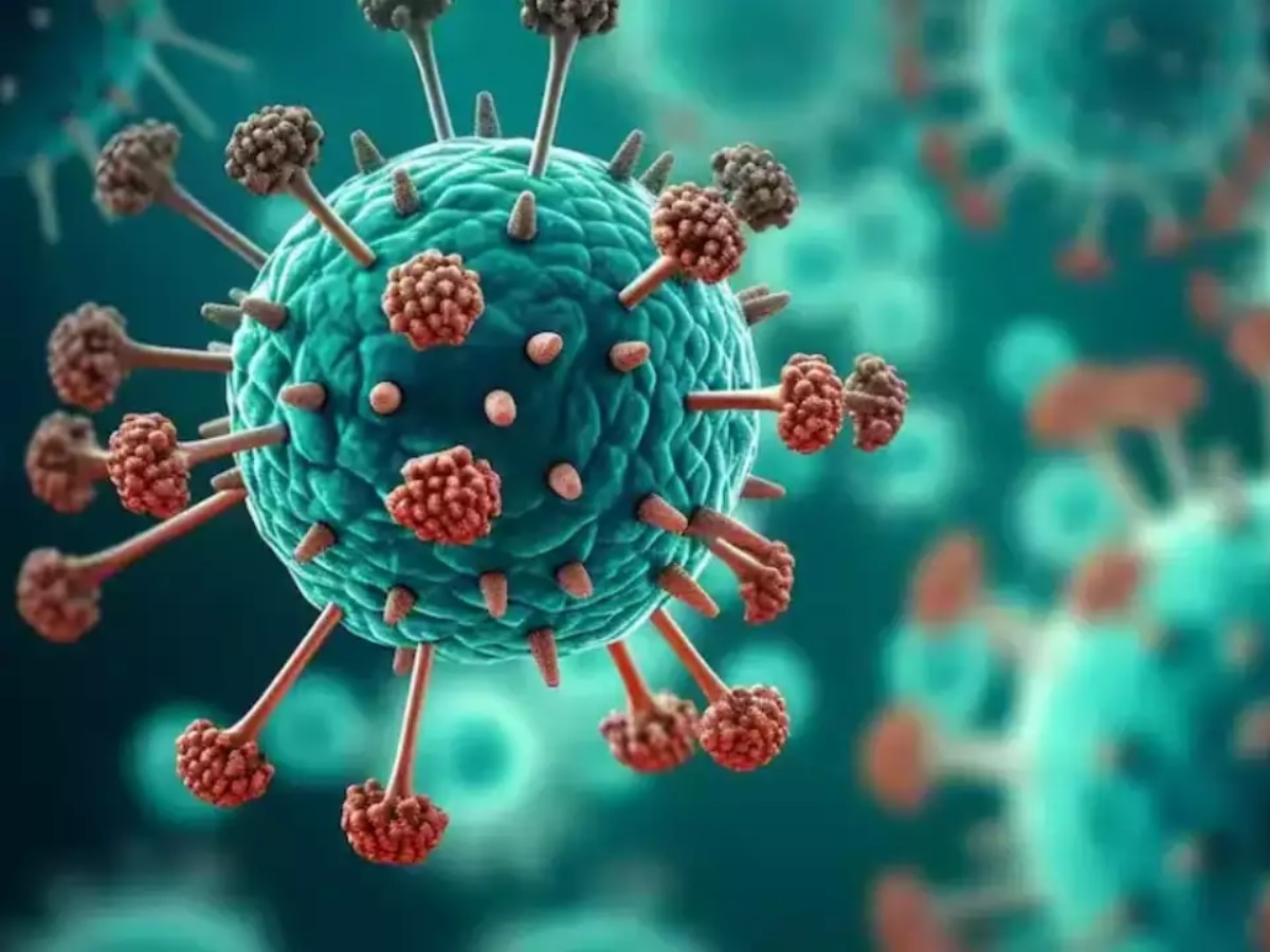 HMPV Virus: HMPV वायरस से बचने के लिए दिल्ली में एडवाइजरी जारी, जानें इसके लक्षण 