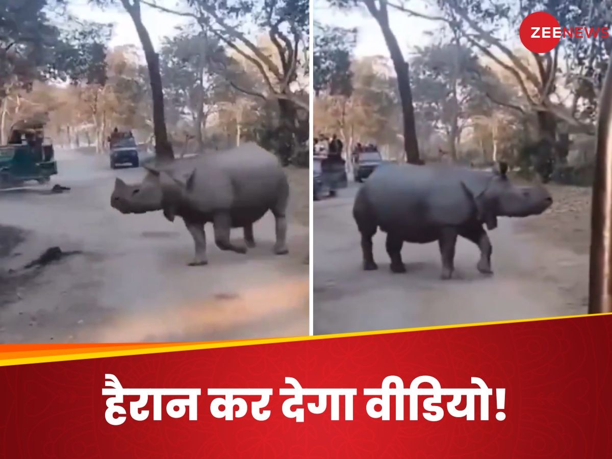 Kaziranga viral video: काजीरंगा में बड़ा हादसा टला.. सफारी के दौरान गैंडे के पास गिरी मां-बेटी, बाल-बाल बचीं; VIDEO देख रोम-रोम कांप उठेगा