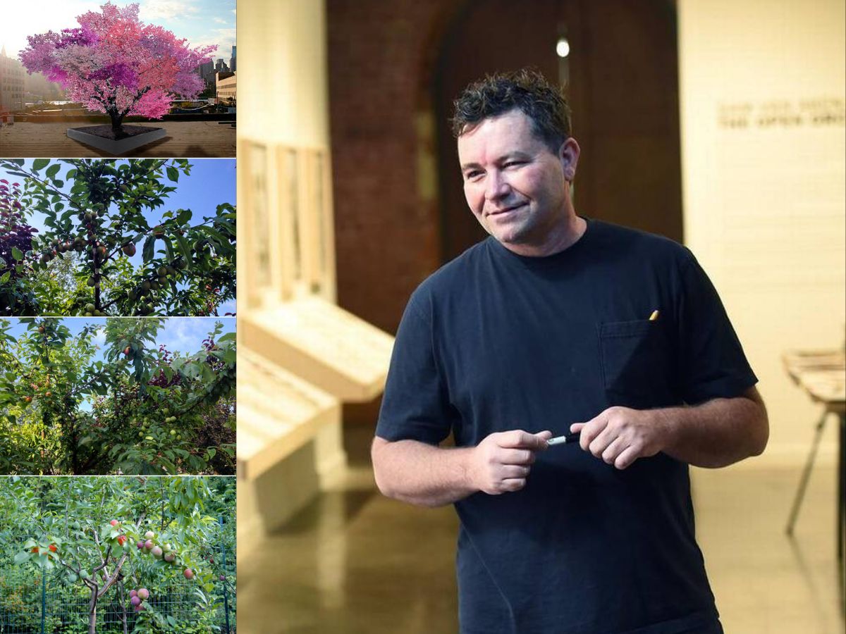 Sam Hansen Tree of 40 | single tree bears 40 different fruits | sam van aken ...