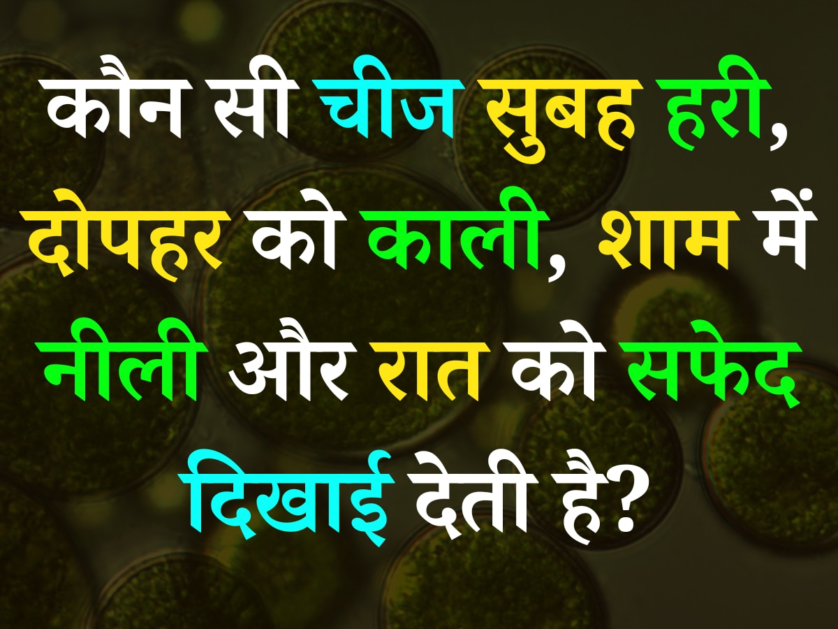 Quiz: कौन सी चीज सुबह हरी, दोपहर को काली, शाम में नीली और रात को सफेद दिखाई देती है?