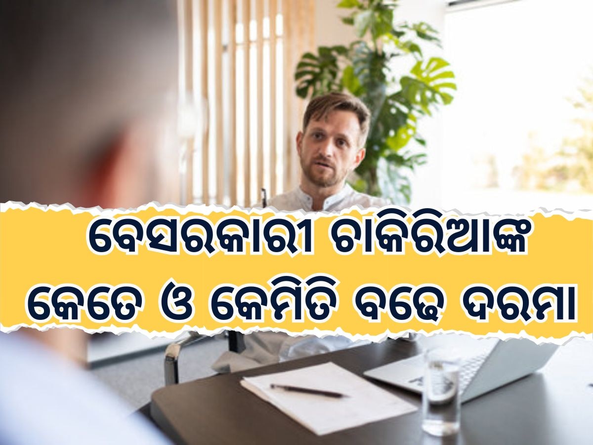 Private job holder Salary Hike: ବେସରକାରୀ ଚାକିରିଆଙ୍କ ପାଇଁ ବଡ଼ ଖବର, ଜାଣନ୍ତୁ କେତେ ବଢିବ ଆପଣଙ୍କ ଦରମା