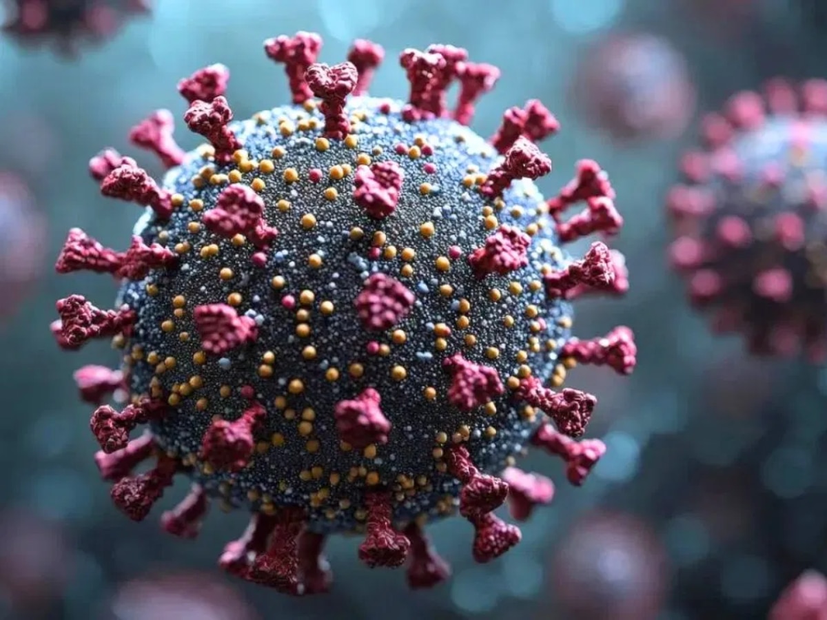 HMPV Virus: क्या HMPV वायरस कोरोना से ज्यादा खतरनाक है? जानें इसके शुरुआती लक्षण