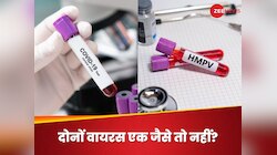 HMPV और COVID-19 सेम-सेम है या डिफरेंट? जानिए दोनों वायरस को जोड़कर देखना कितना सही