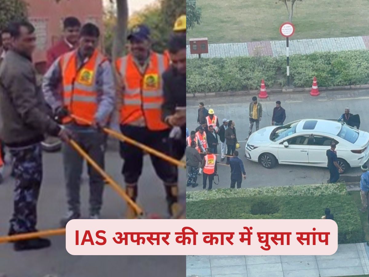 MP News: सचिव की गाड़ी में 4 घंटे बैठा रहा जहरीला सांप, फिर जो हुआ..,देखकर कांप उठे कर्मचारी अधिकारी MP News: सचिव की गाड़ी में 4 घंटे बैठा रहा जहरीला सांप, फिर जो हुआ..,देखकर कांप उठे कर्मचारी अधिकारी