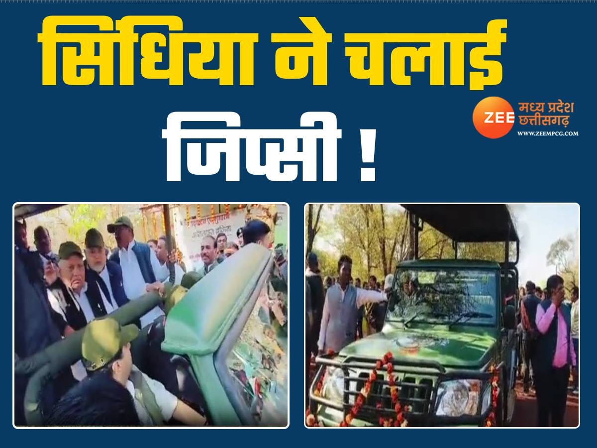 सिंधिया ने चलाई जिप्सी, टूरिस्टों को दिखाए बाघ, MP के नए टाइगर रिजर्व में शुरू हुई सफारी