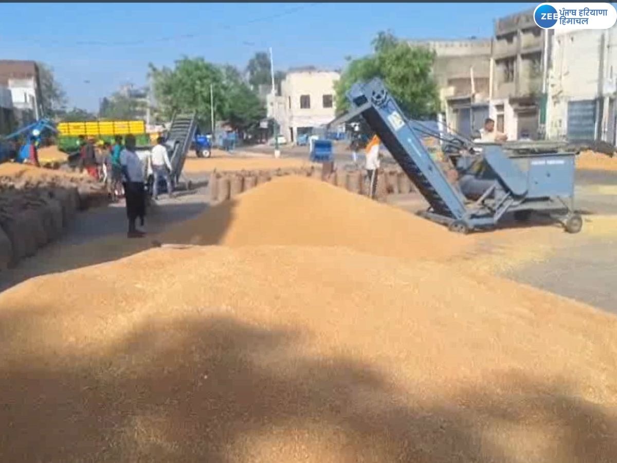 Punjab Wheat Crisis: ਪੰਜਾਬ 'ਚ ਕਣਕ ਦਾ ਸੰਕਟ; ਮਿੱਲਾਂ ਬੰਦ ਹੋਣ ਕਾਰਨ ਆਟੇ ਦੀਆਂ ਕੀਮਤਾਂ ਵਿੱਚ ਭਾਰੀ ਉਛਾਲ