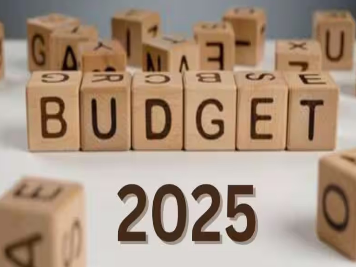 Budget 2025: शनिवार को पेश किया जाएगा आम बजट 2025, शनिवार को भी खुलेगा शेयर बाजार? 