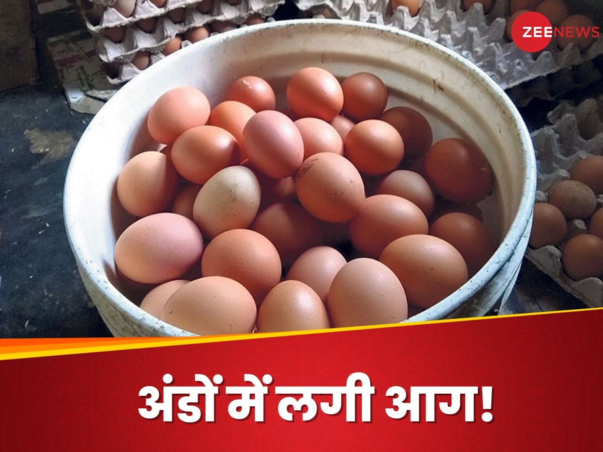 Egg Price: अंडे की कीमतों ने तोड़ा रिकॉर्ड, 2000 की एक क्रेट, फिर भी बाजार से गायब; वजह है कुछ ऐसी