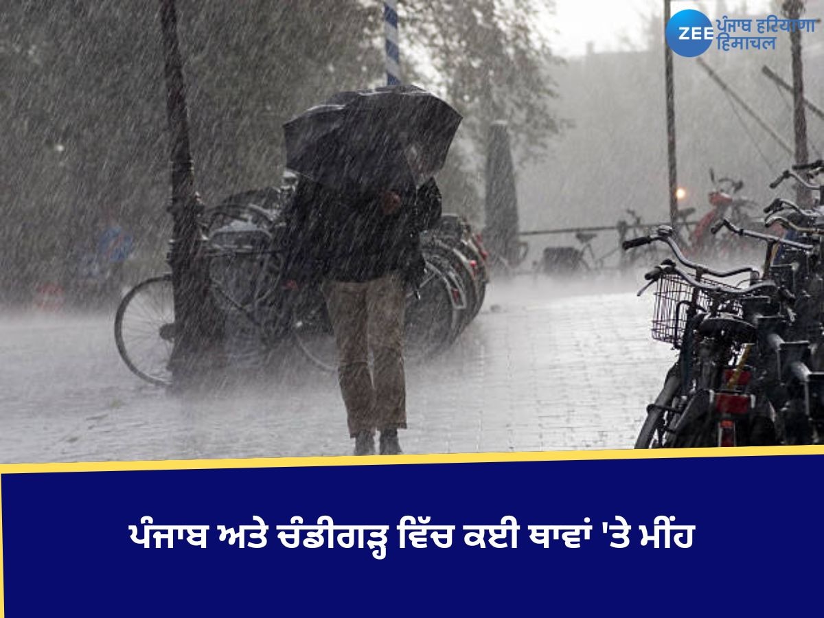 Punjab Weather Update: ਪੰਜਾਬ-ਚੰਡੀਗੜ੍ਹ ਵਿੱਚ ਕਈ ਥਾਵਾਂ 'ਤੇ ਮੀਂਹ, 12 ਜ਼ਿਲ੍ਹਿਆਂ ਵਿੱਚ ਧੁੰਦ ਲਈ ਓਰੇਂਜ ਅਲਰਟ