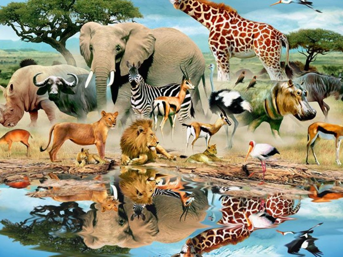 Unique animals that die after giving birth to offspring | General ...