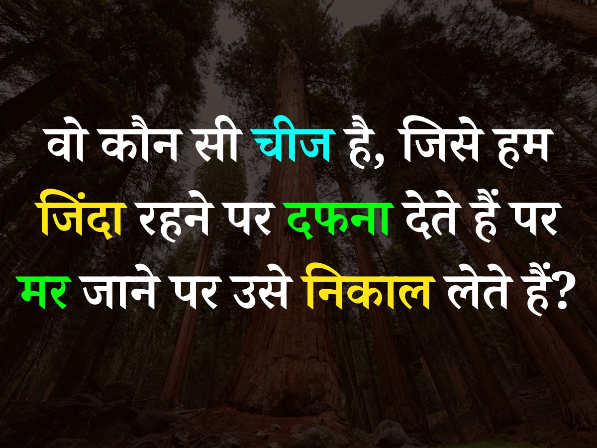 Quiz: वो कौन सी चीज है, जिसे हम जिंदा रहने पर दफना देते हैं पर मर जाने पर उसे निकाल लेते हैं?