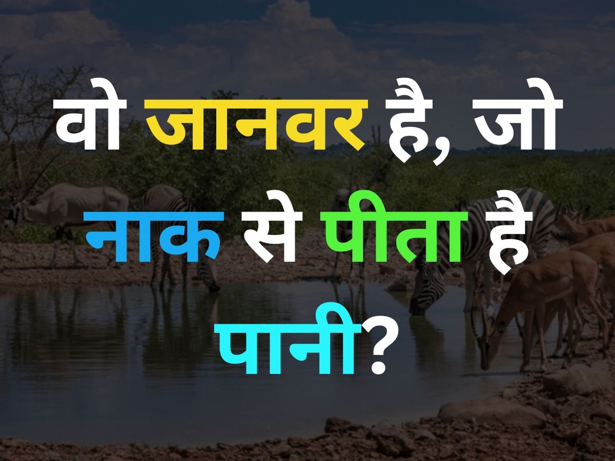 मुंह से नहीं ये जानवर अपनी नाक से पानी पीता है, क्या आप जानते हैं इसका नाम?