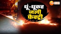 ग्रेटर नोएडा में केमिकल फैक्ट्री में भीषण आग, धड़ाधड़ ब्लास्ट, देखें Fire Video