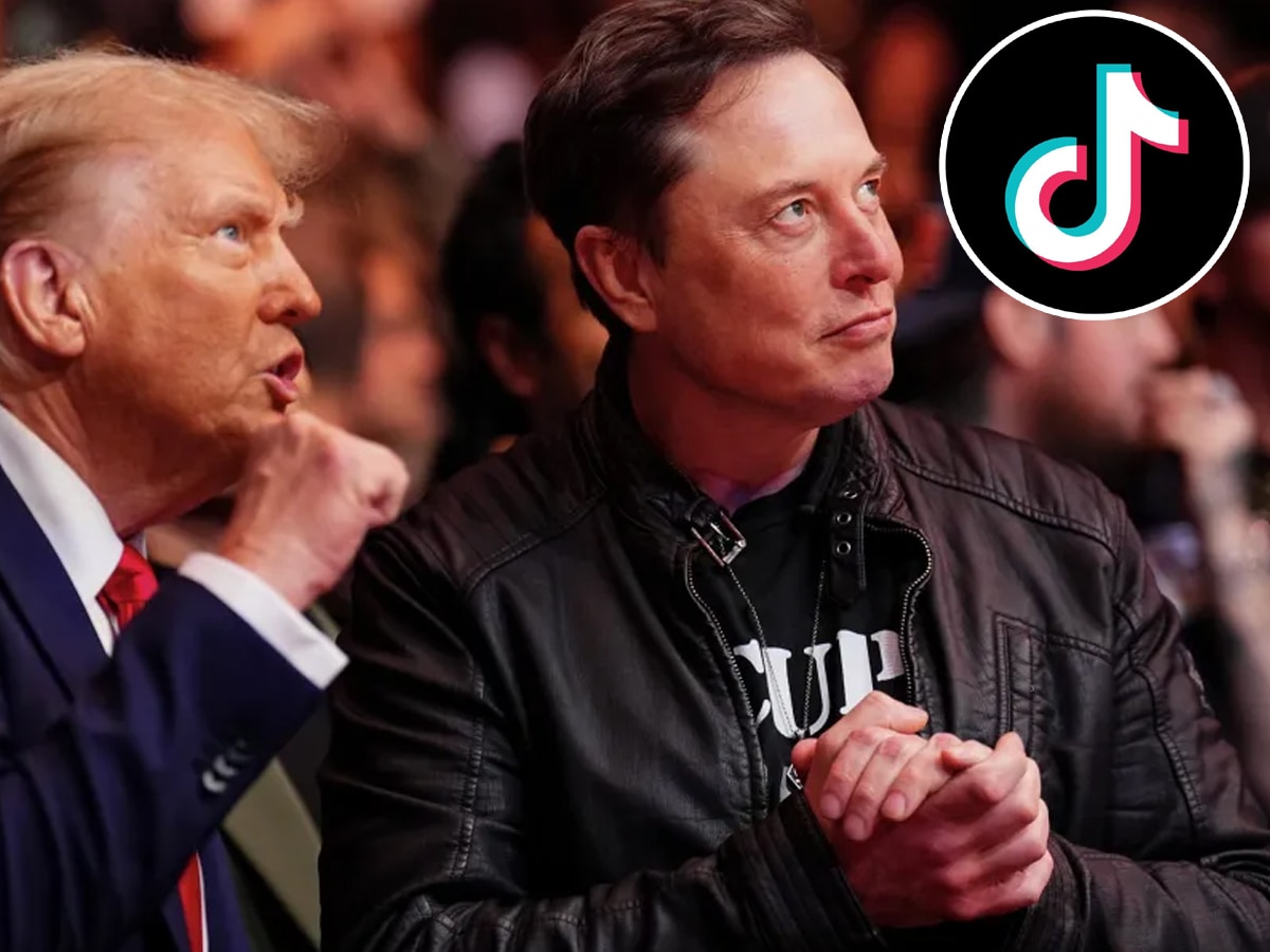 क्या TikTok को खरीदेंगे Elon Musk? लोग बोले- अभी सबसे सही मौका, जानिए क्या आया जवाब