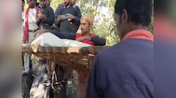 गांव के बाहर पेड़ से लटकता मिला युवक का शव, 1 जनवरी से गायब था मृतक
