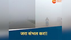 MP के 2 जिलों में कोहरे और बारिश से हाल बेहाल, विजिबिलिटी 20 मीटर, संभल कर निकलें