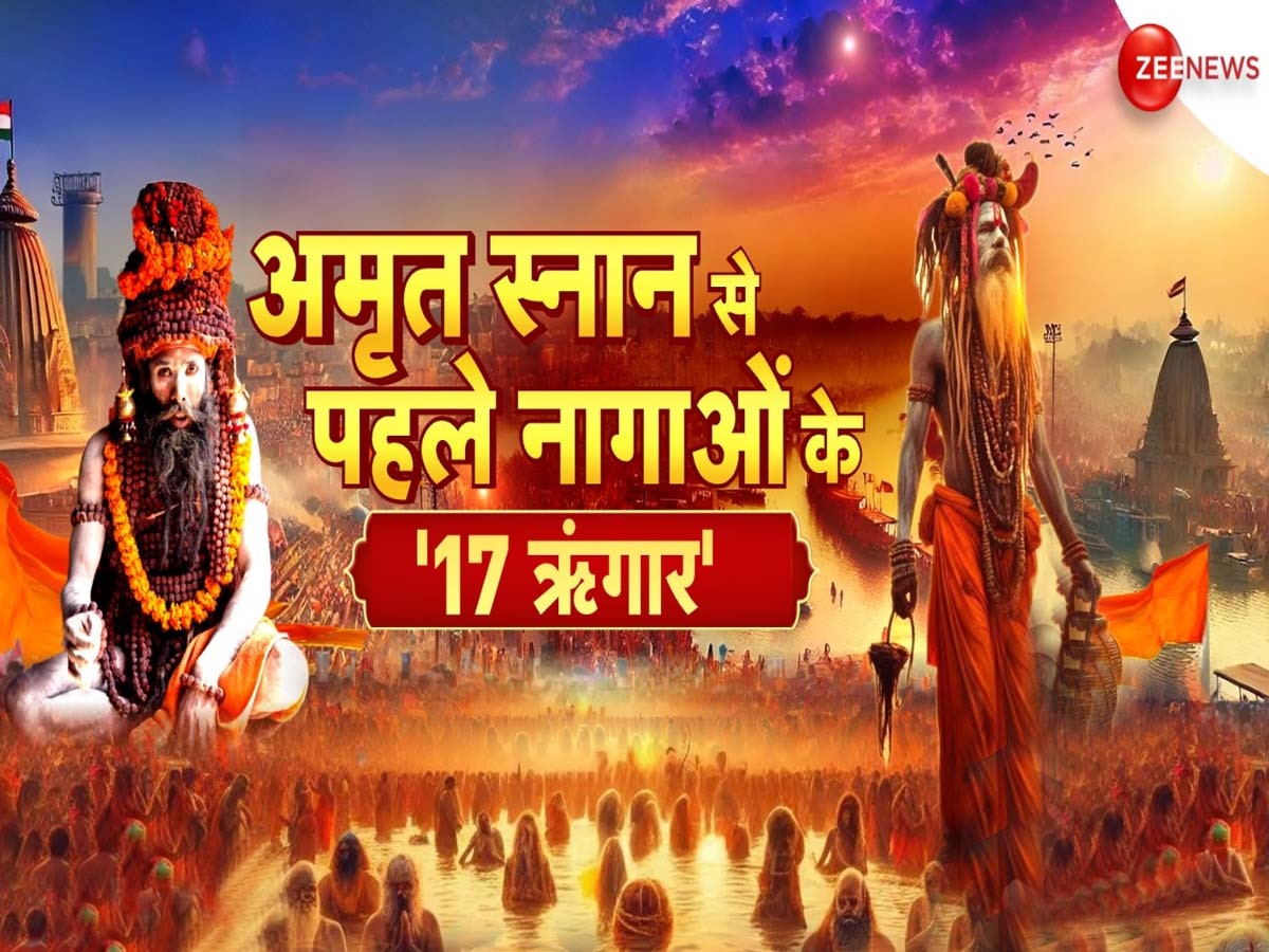 Naga Baba 17 Shringar: कुंभ में अमृत स्नान से पहले नागा बाबा क्यों करते हैं 17 श्रंगार? देखती रह जाती दुनिया, आशीर्वाद पाने के लिए लोगों में लगती होड़