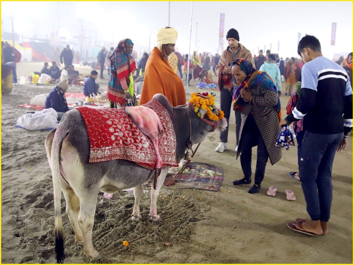 Kumbh Mela 2025: परोपकार के साथ बिजनेस का संगम नजर आ रहा है महाकुंभ, यहां जानें कैसे