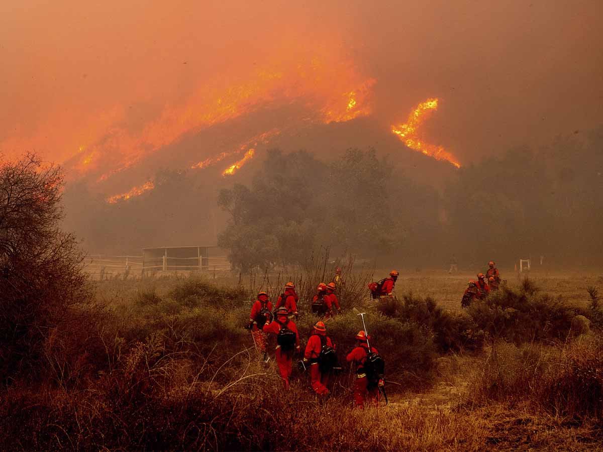 आग से धधक रहा कैलिफोर्निया: ऑस्कर नॉमिनेशन का ऐलान टला, नेटफ्लिक्स ने दिखाई दरियादिली, किया 86.55 करोड़ का दान