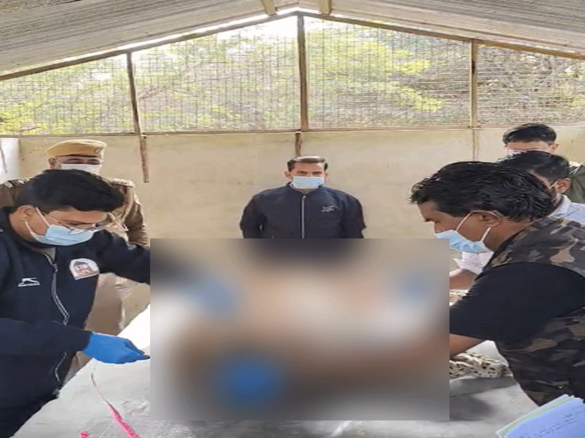 Sawai Madhopur News: रणथंभौर टाइगर रिजर्व के तीन लेपर्ड की हुई मौत, पोस्टमार्टम के बाद हुआ अंतिम संस्कार Sawai Madhopur News: रणथंभौर टाइगर रिजर्व के तीन लेपर्ड की हुई मौत, पोस्टमार्टम के बाद हुआ अंतिम संस्कार