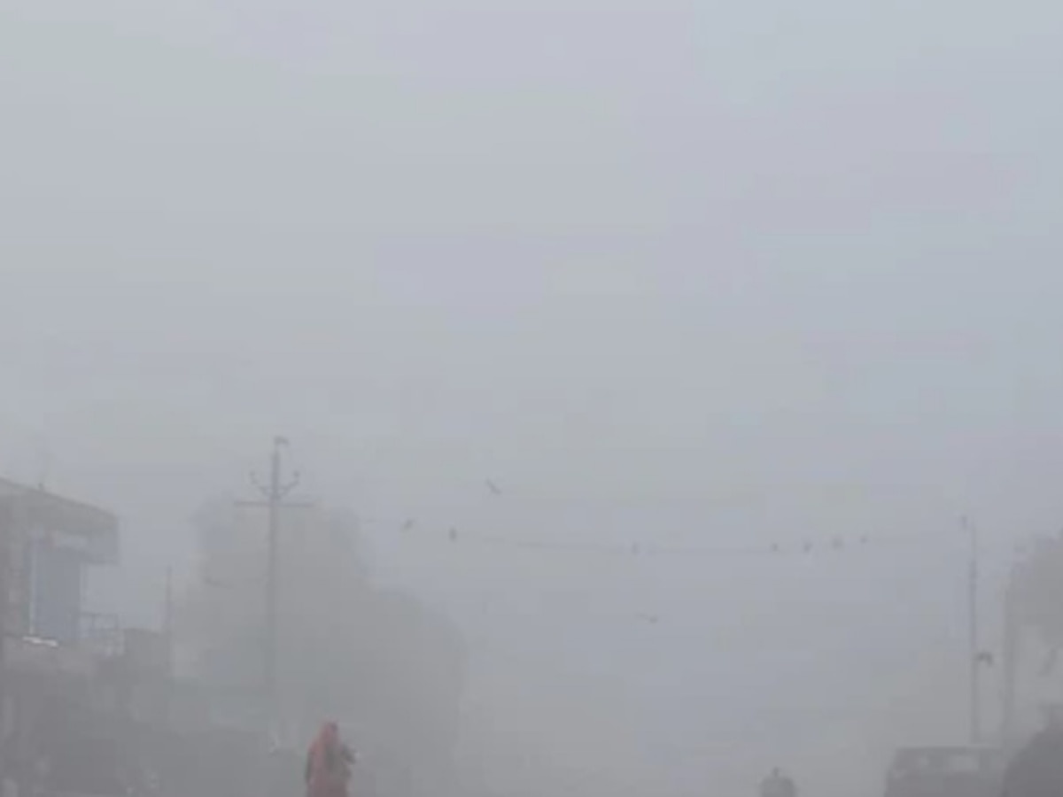 Rajasthan Weather Update: राजस्थान में सर्द हवाओं का कहर जारी, कोहरे ने थामी जीवन की रफ़्तार