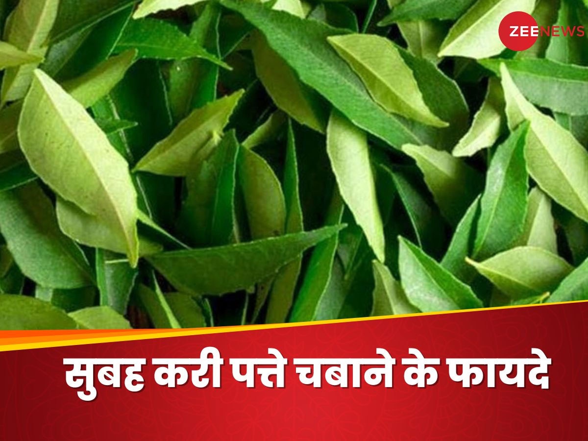 Curry Leaves: सुबह खाली पेट जरूर चबाएं करी पत्ते, पास नहीं फटकेंगी ये 5 बीमारियां