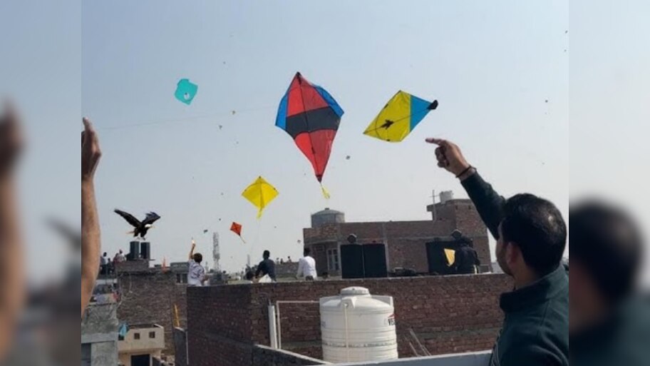 Rajasthan Makar Sankranti: जयपुर में पतंगबाजी के दौरान 44 लोग घायल, 10 की हालत बेहद गंभीर