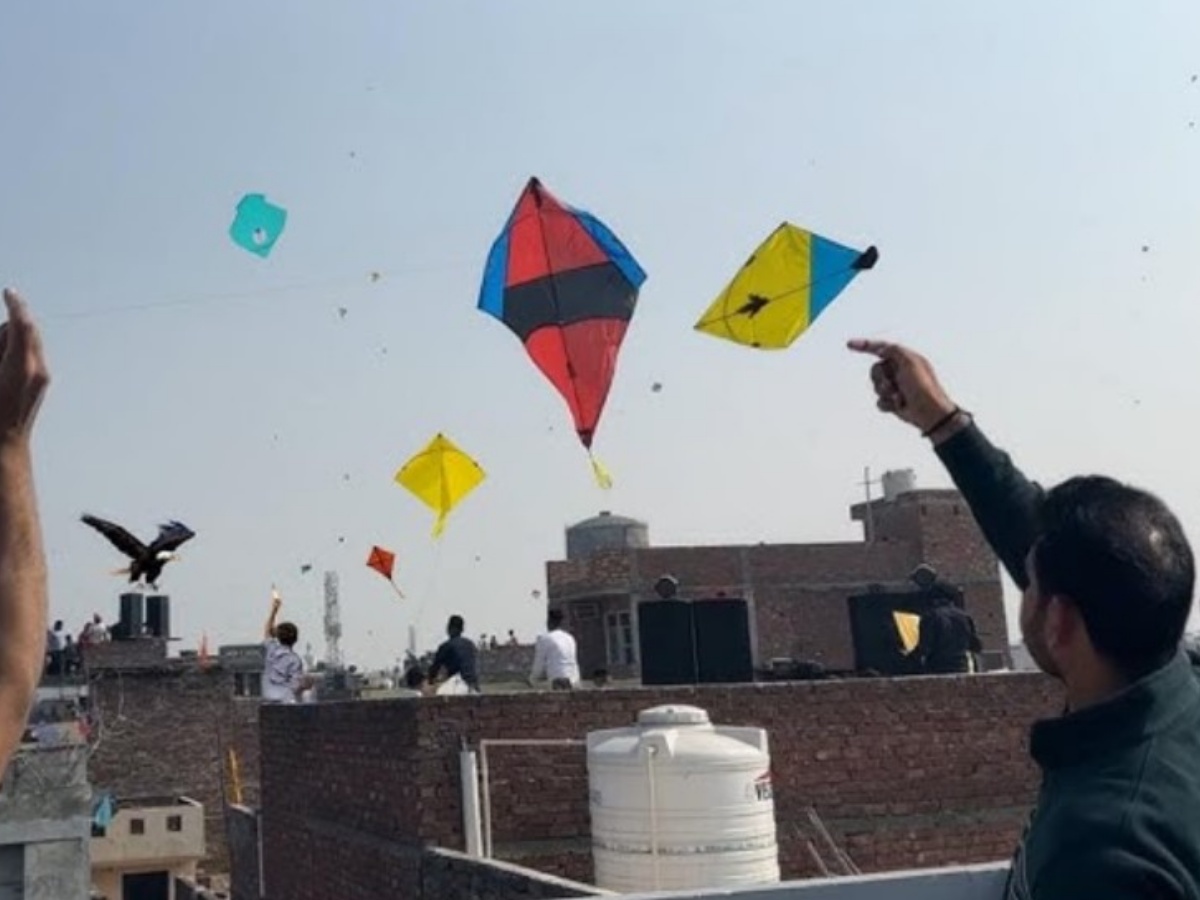 Rajasthan Makar Sankranti: जयपुर में पतंगबाजी के दौरान 44 लोग घायल, 10 की हालत बेहद गंभीर Rajasthan Makar Sankranti: जयपुर में पतंगबाजी के दौरान 44 लोग घायल, 10 की हालत बेहद गंभीर