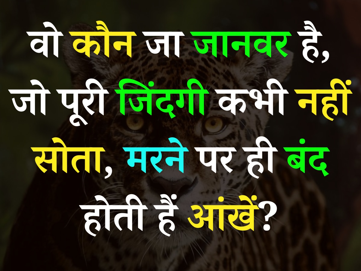 Quiz: वो कौन जा जानवर है, जो पूरी जिंदगी कभी नहीं सोता, मरने पर ही बंद होती हैं आंखें?