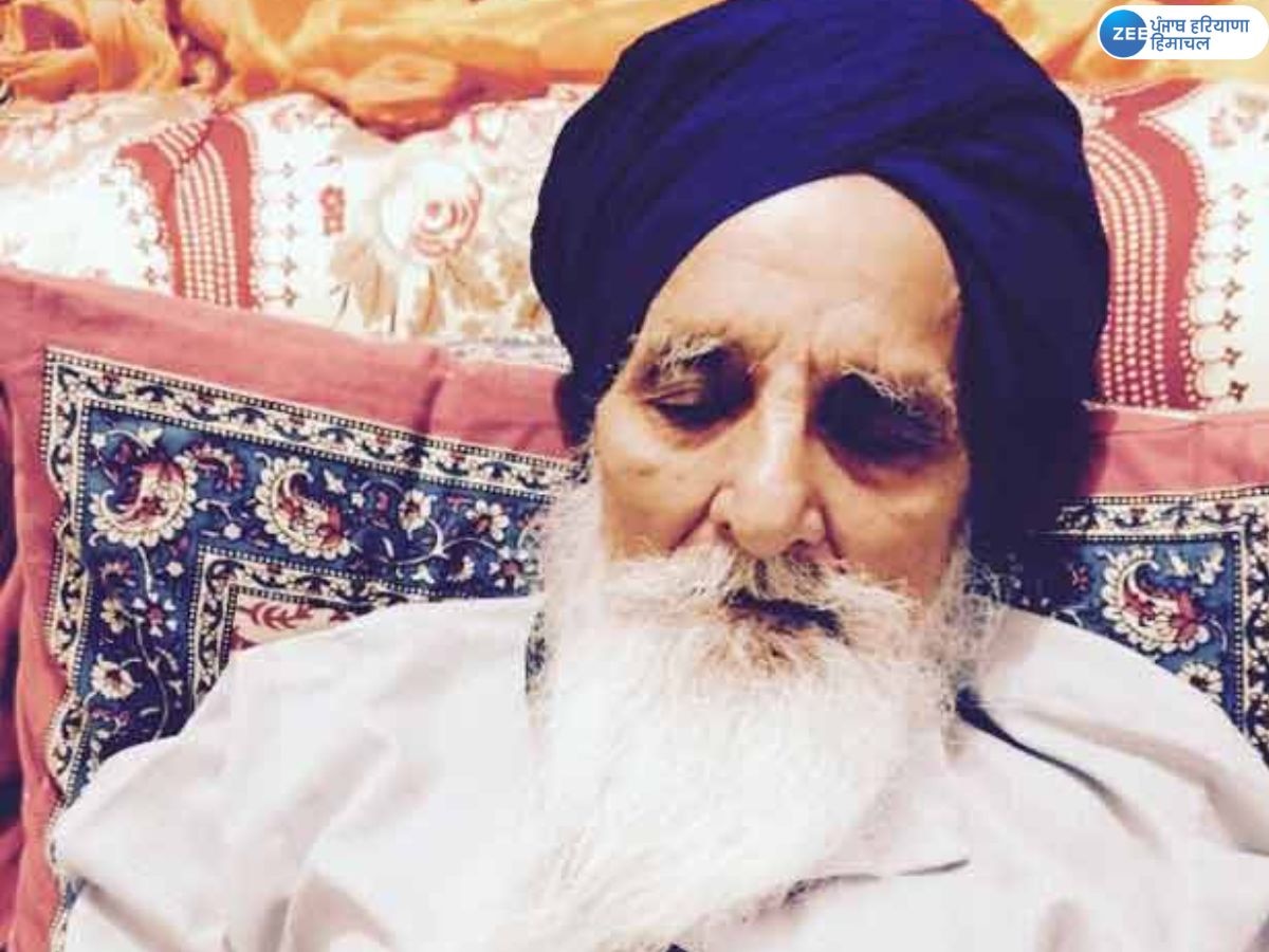 Bapu Surat Singh Death News: ਬਾਪੂ ਸੂਰਤ ਸਿੰਘ ਦਾ ਹੋਇਆ ਦੇਹਾਂਤ; ਅਮਰੀਕਾ ਵਿੱਚ ਲਏ ਆਖਰੀ ਸਾਹ