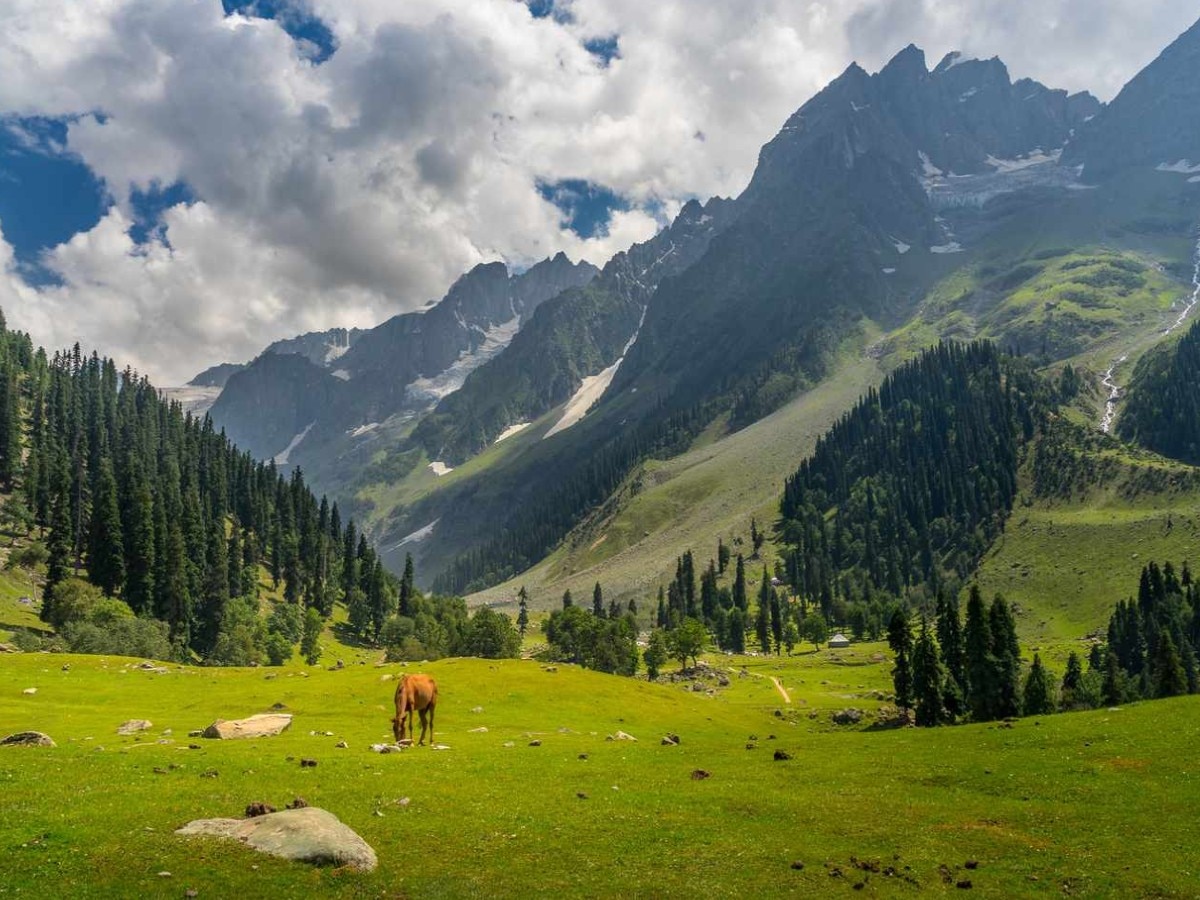 Jammu Kashmir: क्या सूख जाएगी जम्मू और कश्मीर की घाटी, तेजी से बदल रहा मौसम का मिजाज