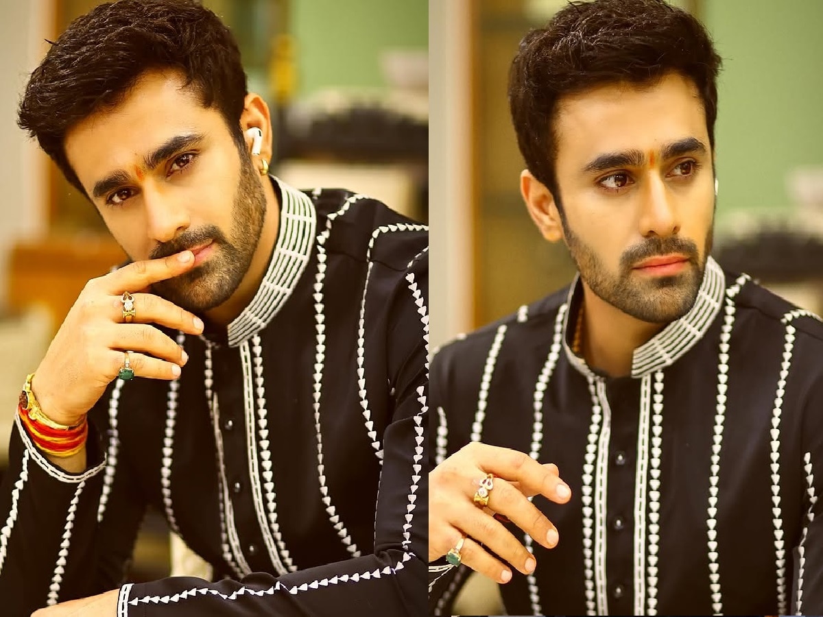 Pearl V Puri Quit Television Industry