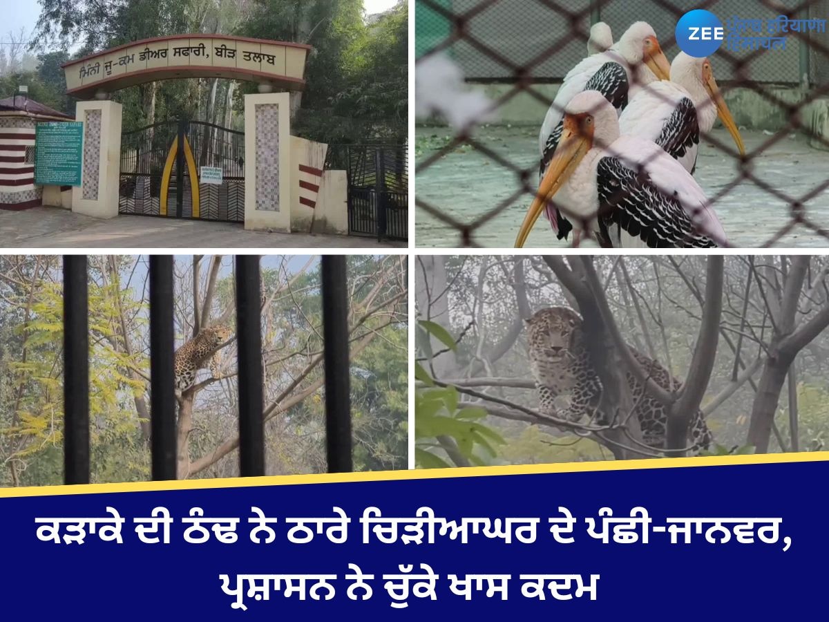 Bir Talab Zoo: ਕੜਾਕੇ ਦੀ ਠੰਢ ਨੇ ਠਾਰੇ ਚਿੜੀਆਘਰ ਦੇ ਪੰਛੀ-ਜਾਨਵਰ, ਪ੍ਰਸ਼ਾਸਨ ਨੇ ਚੁੱਕੇ ਖਾਸ ਕਦਮ 