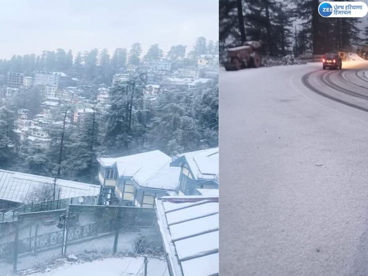  Shimla Snowfall: शिमला में सुबह हुई सरप्राइज बर्फबारी; शहर बर्फ की हल्की चादर से ढका