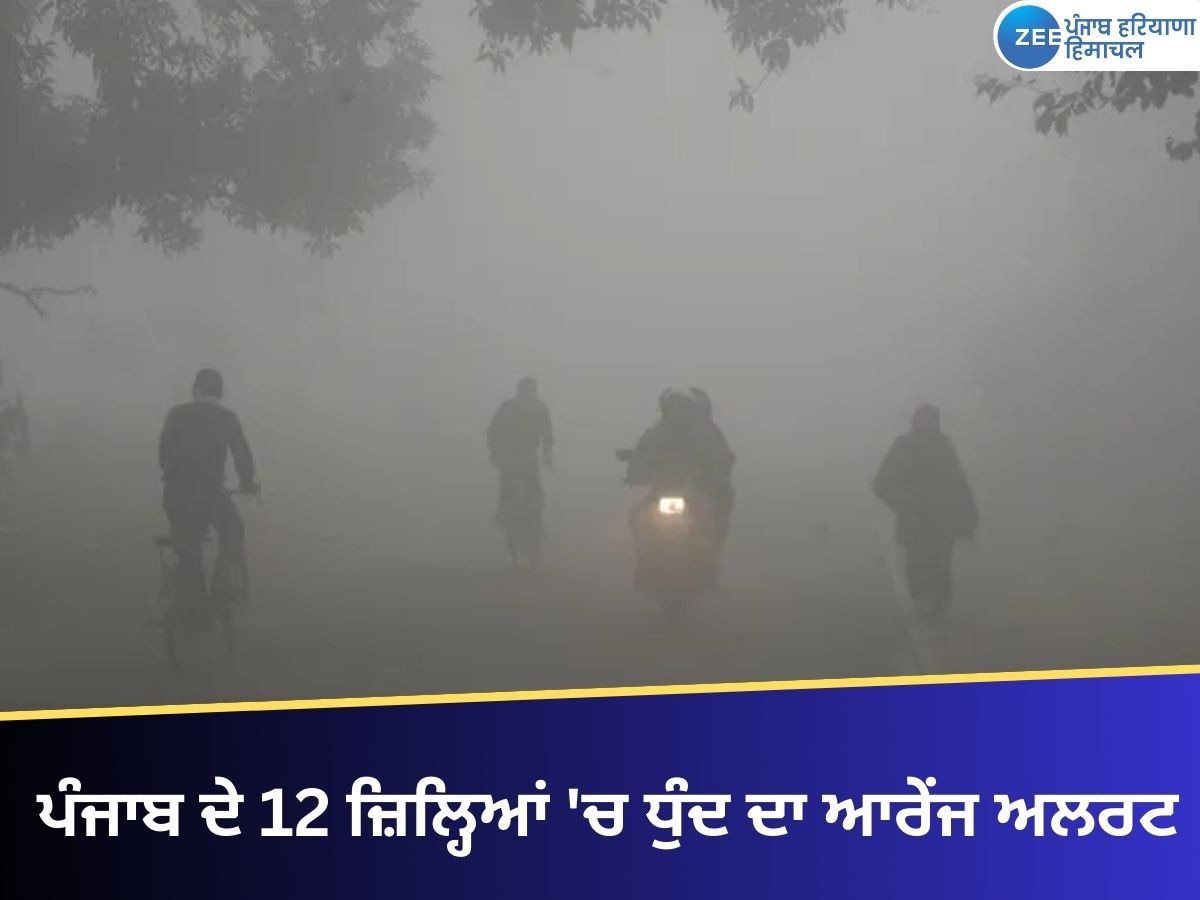 Punjab Weather: ਪੰਜਾਬ ਦੇ 12 ਜ਼ਿਲ੍ਹਿਆਂ 'ਚ ਧੁੰਦ ਦਾ ਆਰੇਂਜ ਅਲਰਟ, 18 ਜਨਵਰੀ ਤੋਂ ਬਦਲੇਗਾ ਮੌਸਮ