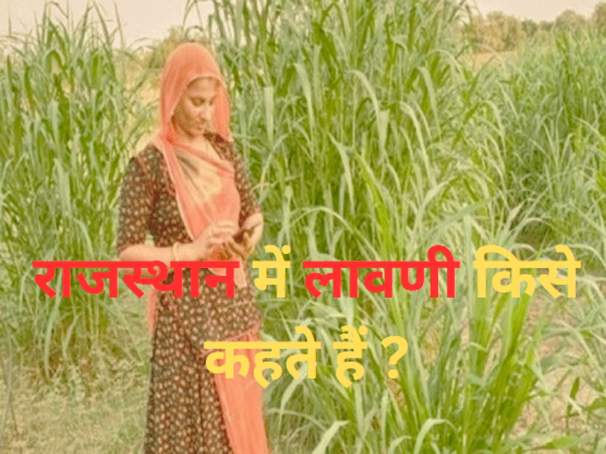 Trending Quiz : राजस्थान में लावणी किसे कहते हैं ?